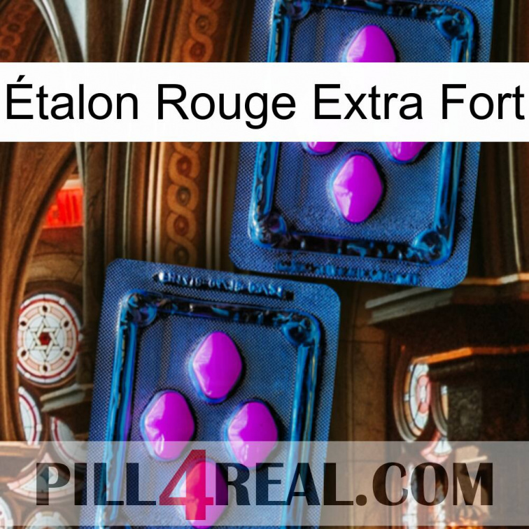 Étalon Rouge Extra Fort 03